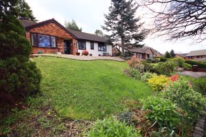 Photo 21- click for photo gallery